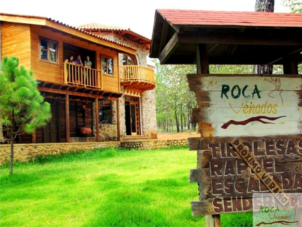 Rocavenados Mascota Exterior photo