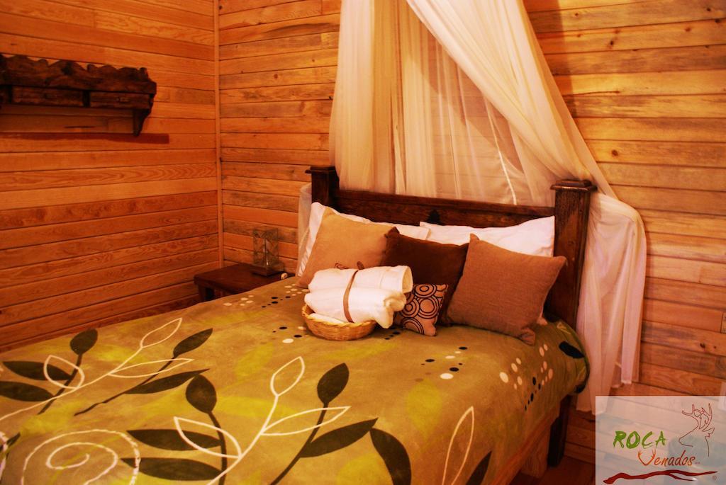 Rocavenados Mascota Room photo