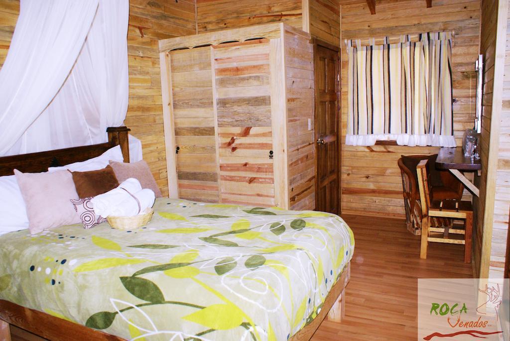 Rocavenados Mascota Room photo
