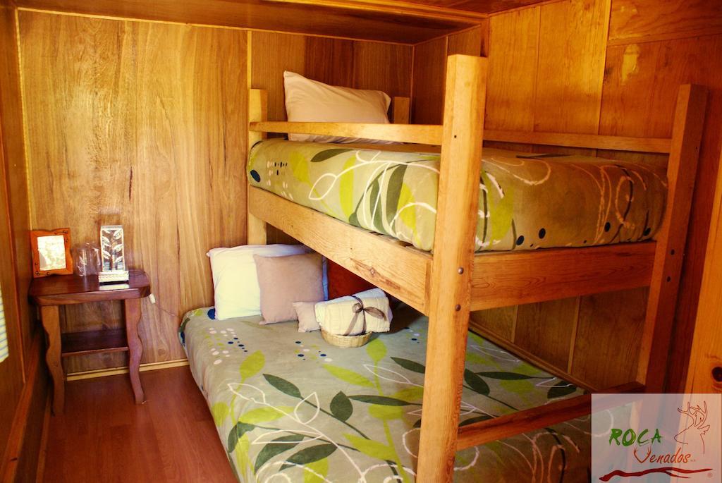 Rocavenados Mascota Room photo